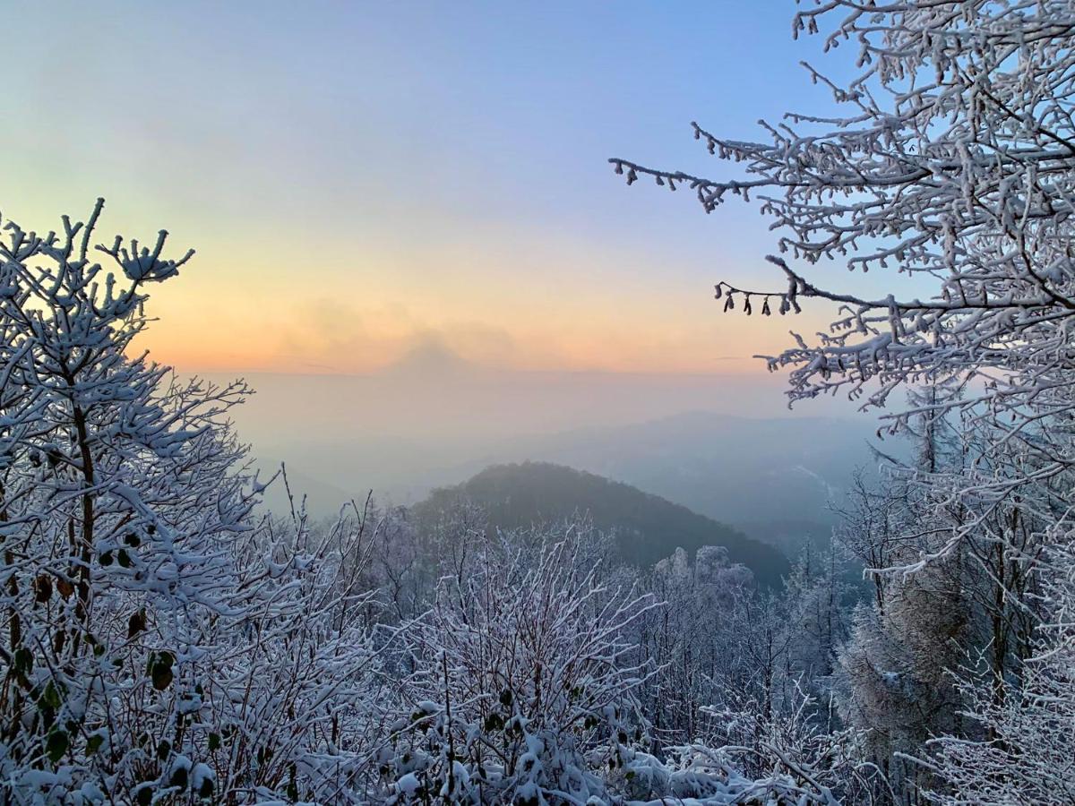 Harz Hotel Und Gaestehaus Am Bornweg บัดซัคซา ภายนอก รูปภาพ