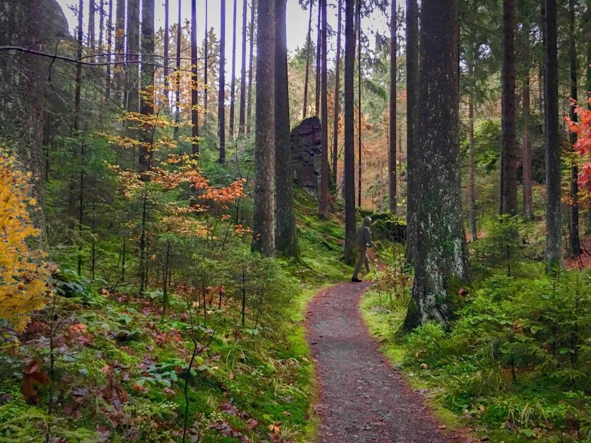 Harz Hotel Und Gaestehaus Am Bornweg บัดซัคซา ภายนอก รูปภาพ